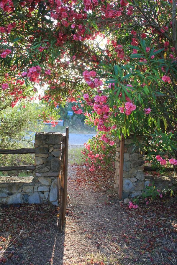 Antonella Holiday home Villasimius